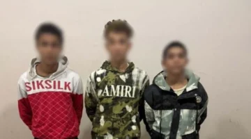 اعتداء بسلاح أبيض على سائق توك توك.. القبض على المجرمين في القليوبية